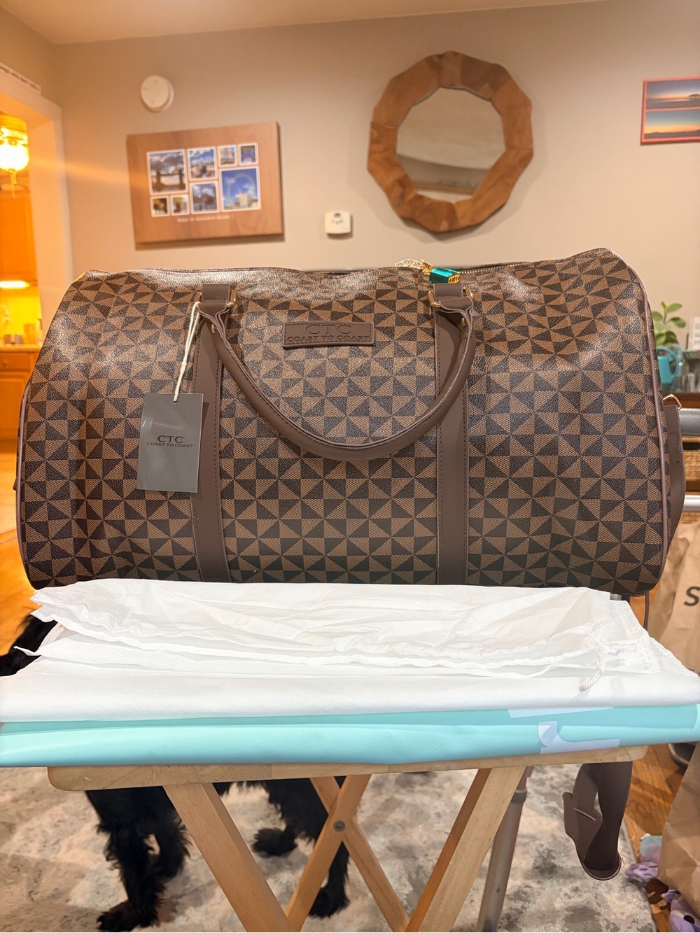 Coast to Cost Brown pinwheel weekender travel Bag NWT